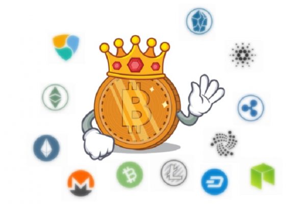 Bitcoin is the King in Crypto