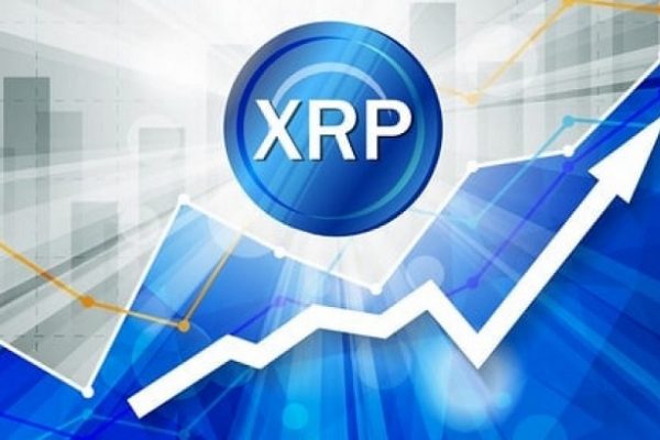 XRP-pumps