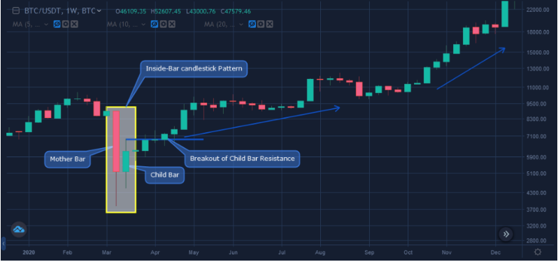Leverage Trading Crypto Adalah : Tutorial Bitmex Bitcoin ...
